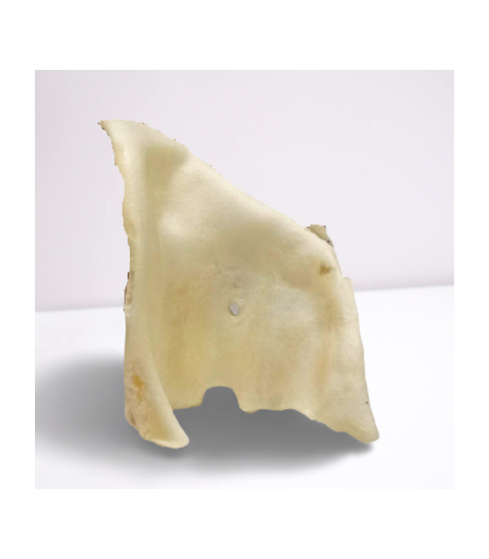Oreille de porc soufflée au miel pour chien.