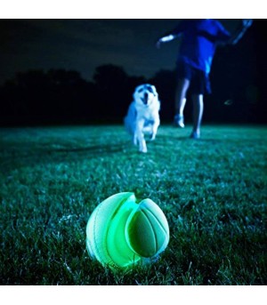 Balle phosphorescente chuckit pour chien.