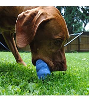 jouet d'occupation pour chien hérisson de jolly pets.