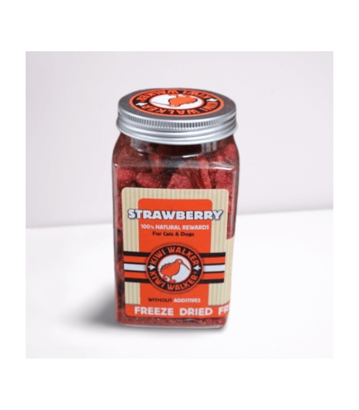 fraise-friandises-naturelles-chat-chien