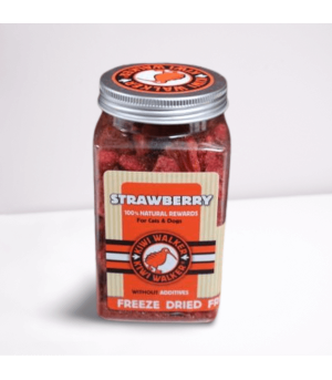 fraise-friandises-naturelles-chat-chien