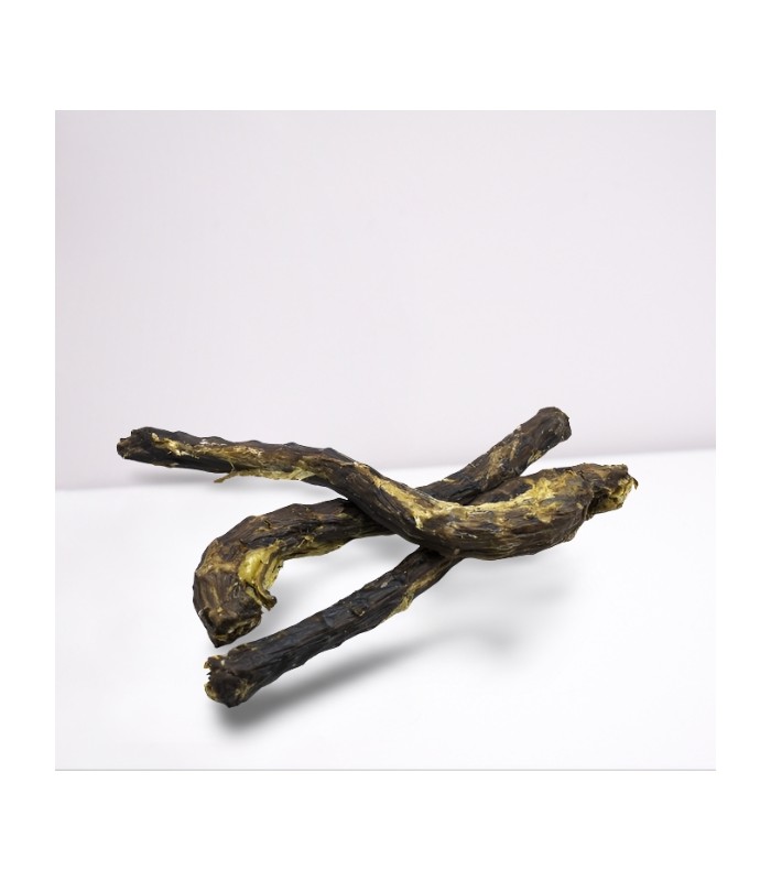 Mastication pour chien cou d'oie.