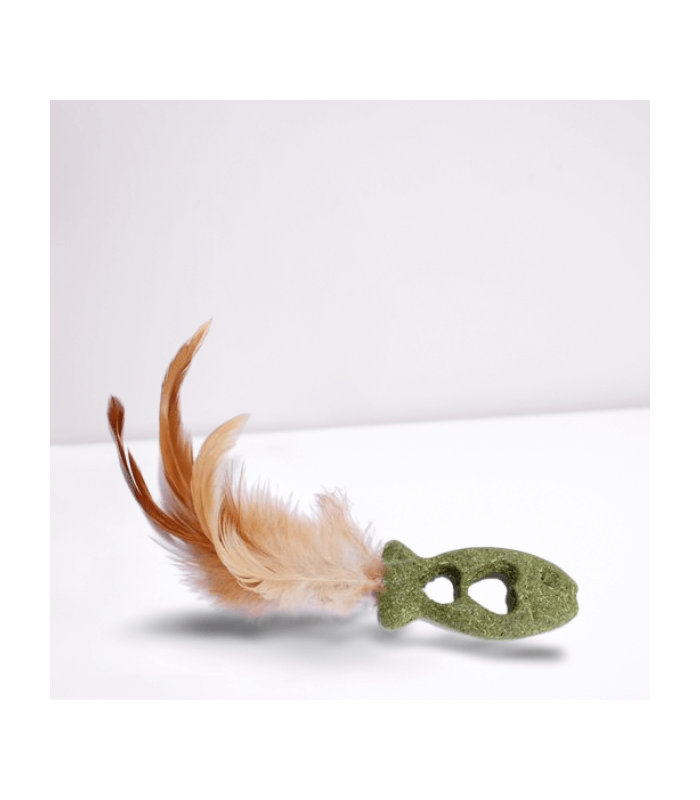 Jouet avec plume pour chat.