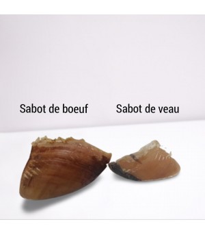 différence entre sabot de bœuf et sabot de veau.