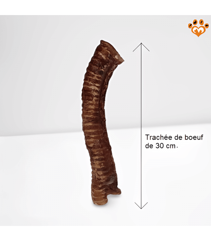 Grande trachée de boeuf pour chien.