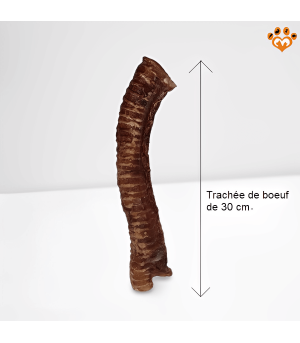 Grande trachée de boeuf pour chien.