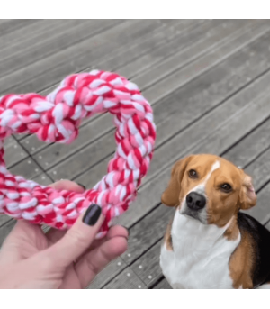 Jouet coeur en corde pour chien.