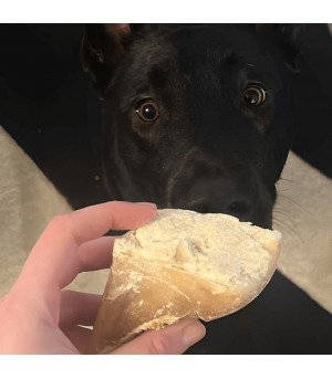 Sabot de boeuf à la graisse de mouton pour chien.