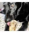 Corne de boeuf pleine pour chien.