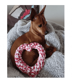 Jouet en corde saint valentin pour chien.