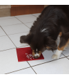 Tapis Sodapup os en rouge foraging pour chien et chat.