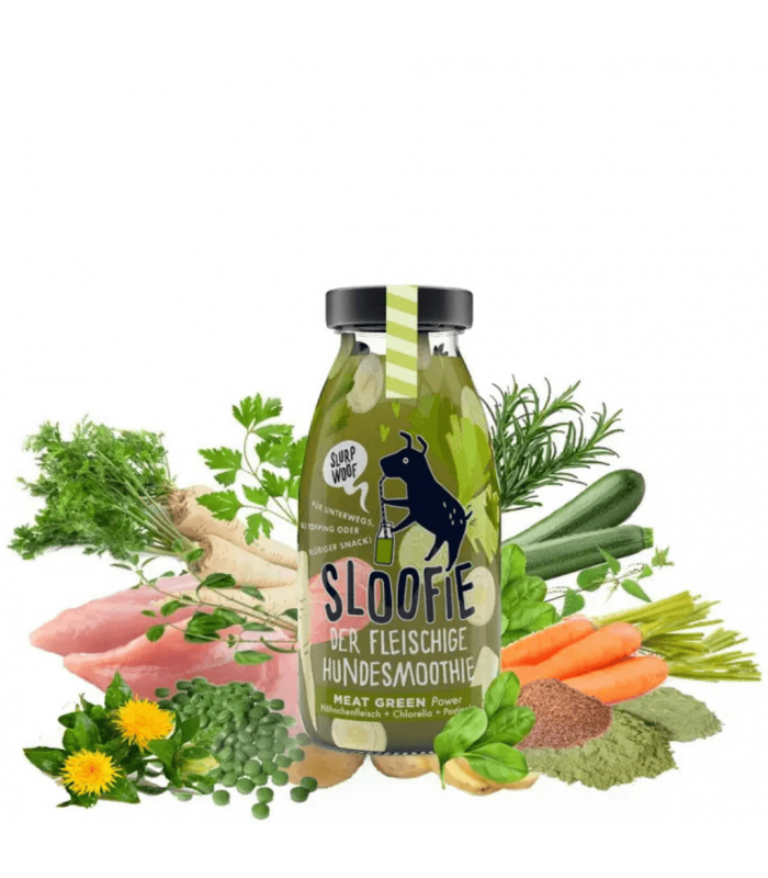 Paws détente Lille Smoothie MEAT GREEN pour chien