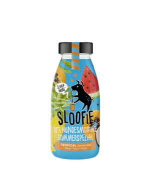 Smoothie sloofie tropical pour chien.