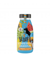 Smoothie sloofie tropical pour chien.
