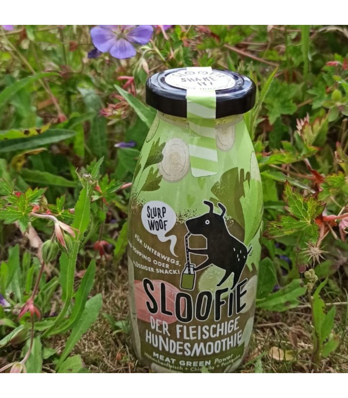 Paws détente Lille Smoothie MEAT GREEN pour chien