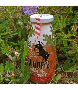 Smoothie pour chien stop diarrhée naturel.