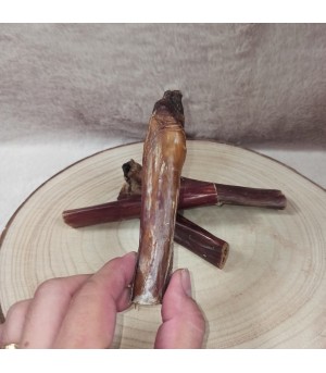 Mastication pour chiot et chien, oesophage de boeuf.
