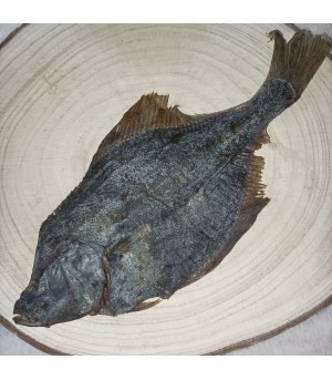 poisson plat pour chien.