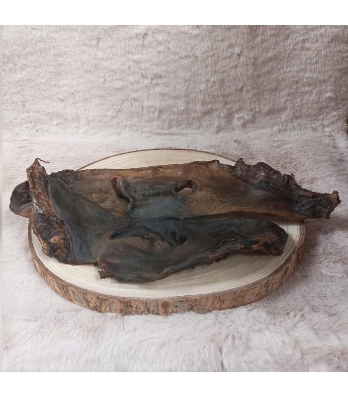 Mastication longue durée museau de boeuf pour chien.