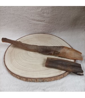 Taille peau de chameau pour chien.