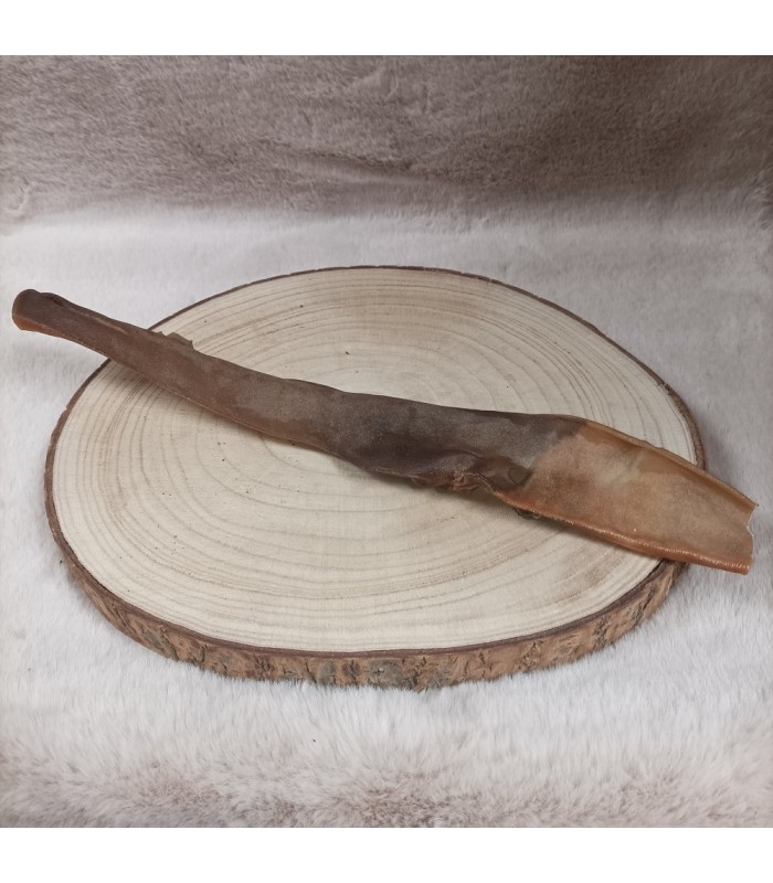 Grande peau de chameau, mastication durable pour chien.