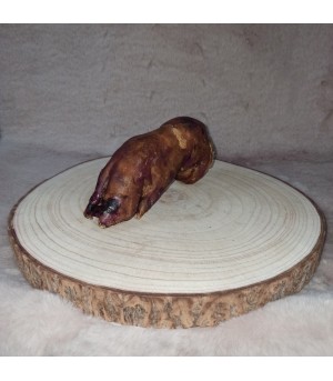 Pied de porc pour chien.