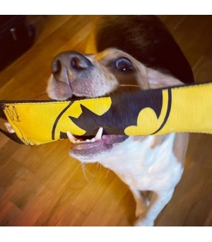 Chien qui joue avec le tug batman.