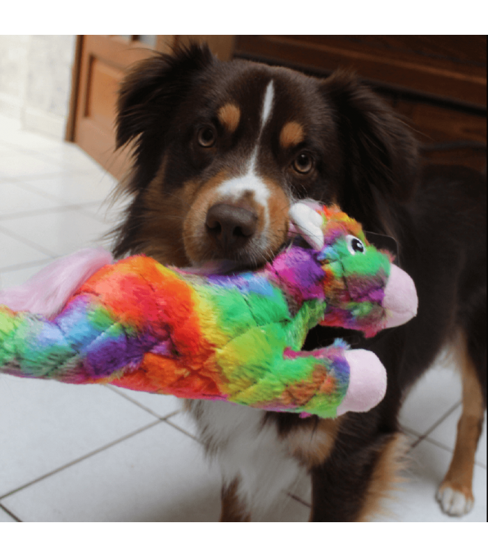 Chien qui joue avec la peluche fantazoo horse.
