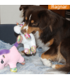 Chien mini berger américain avec peluche licorne pour chien.