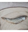 Friandise de poisson hareng pour chiot.