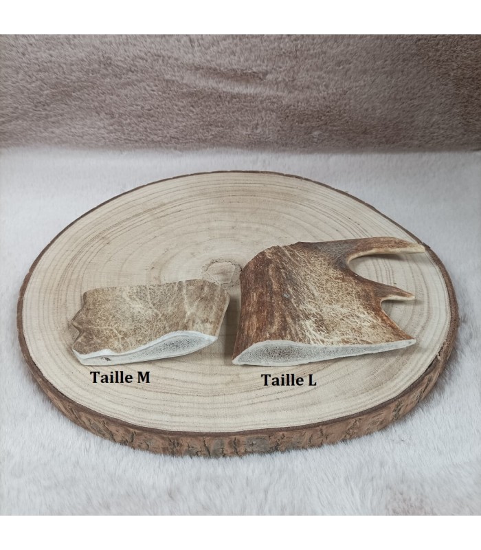 Mastication pour chien bois de daim.