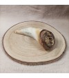 Corne de boeuf taille L pour grand chien.