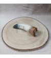 Corne de boeuf pleine taille M pour chien de taille moyenne.