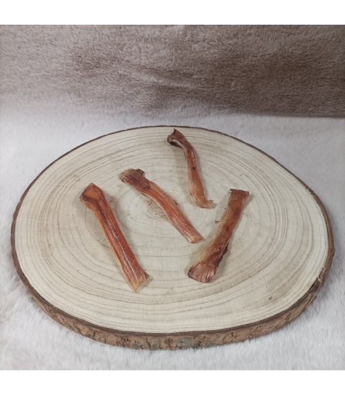 Tendon d'autruche, mastication pour chien.