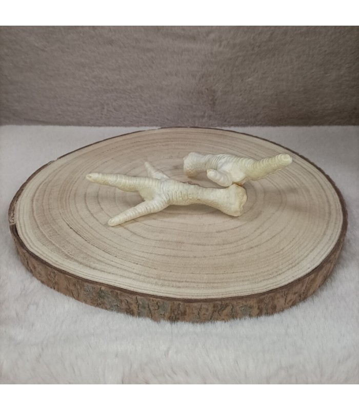 Patte de poulet séchée pour chiot.