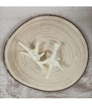 Friandise pour chien et chiot, patte de poulet séchée.