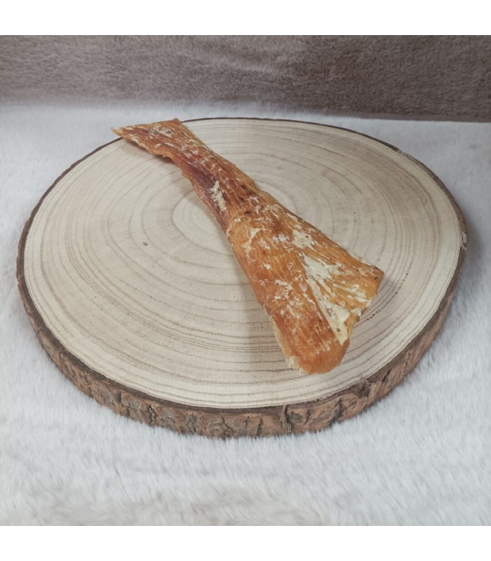 Tendon de boeuf pour chien.