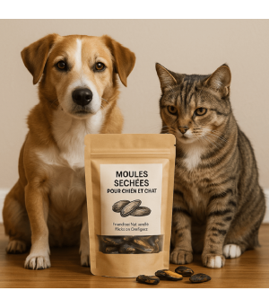 Moule friandise pour chien et chat.