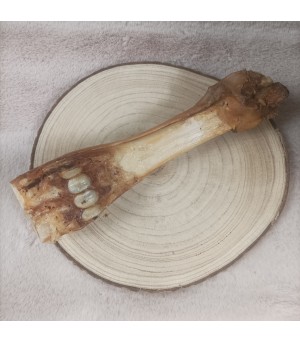 Mastication pour grand chien, os de boeuf charnu.