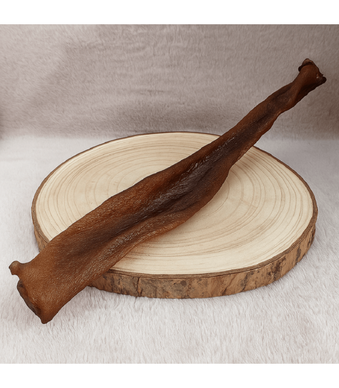Mastication pour chien, peau de sanglier.