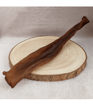 Mastication pour chien, peau de sanglier.
