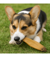 Mastication pour chien, oreille de lapin nature.