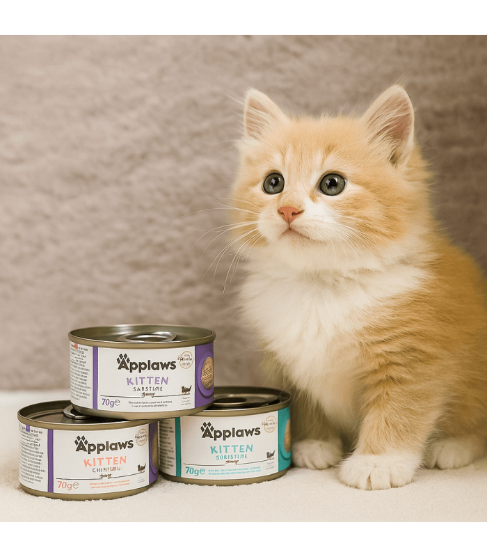 Complément alimentaire pour chaton