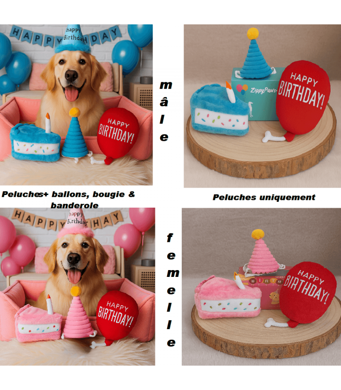 Anniversaire chien.