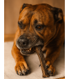 Mastication pour chien allergique, oesophage de chameau.