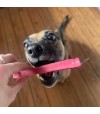 Mastication durable pour petit et moyen chien, le fromage de yak à la fraise.