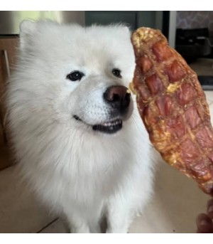 Filet de poulet pour toute taille de chien.