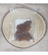 Filet de saumon et truite pour chien.