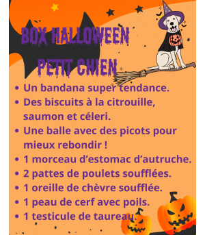 Contenu de la box halloween petit chien.