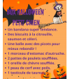 Contenu de la box halloween petit chien.